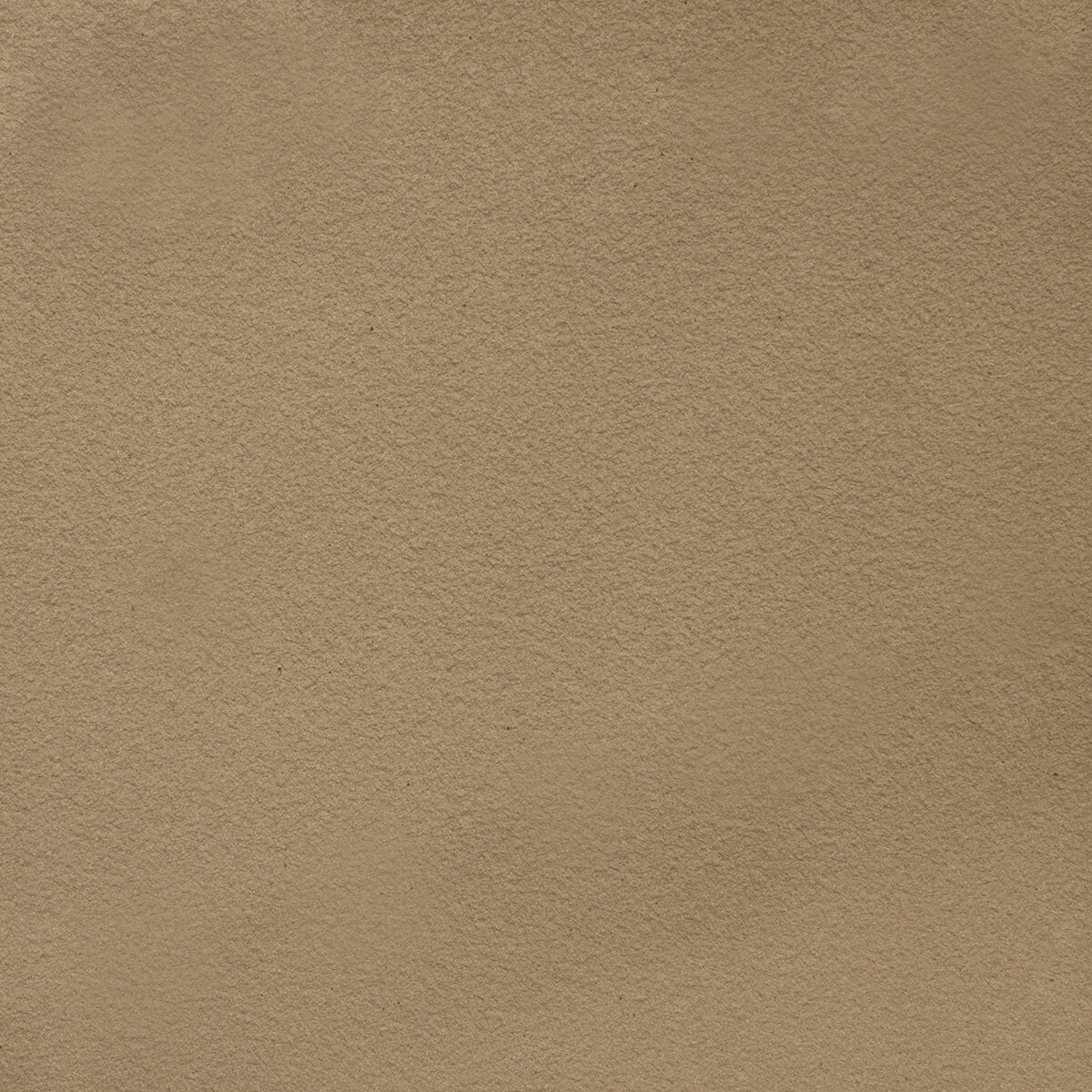 proven superficie cottura refrattario.